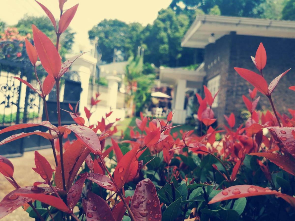 Anna Shanthi Villa แคนดี้ ภายนอก รูปภาพ