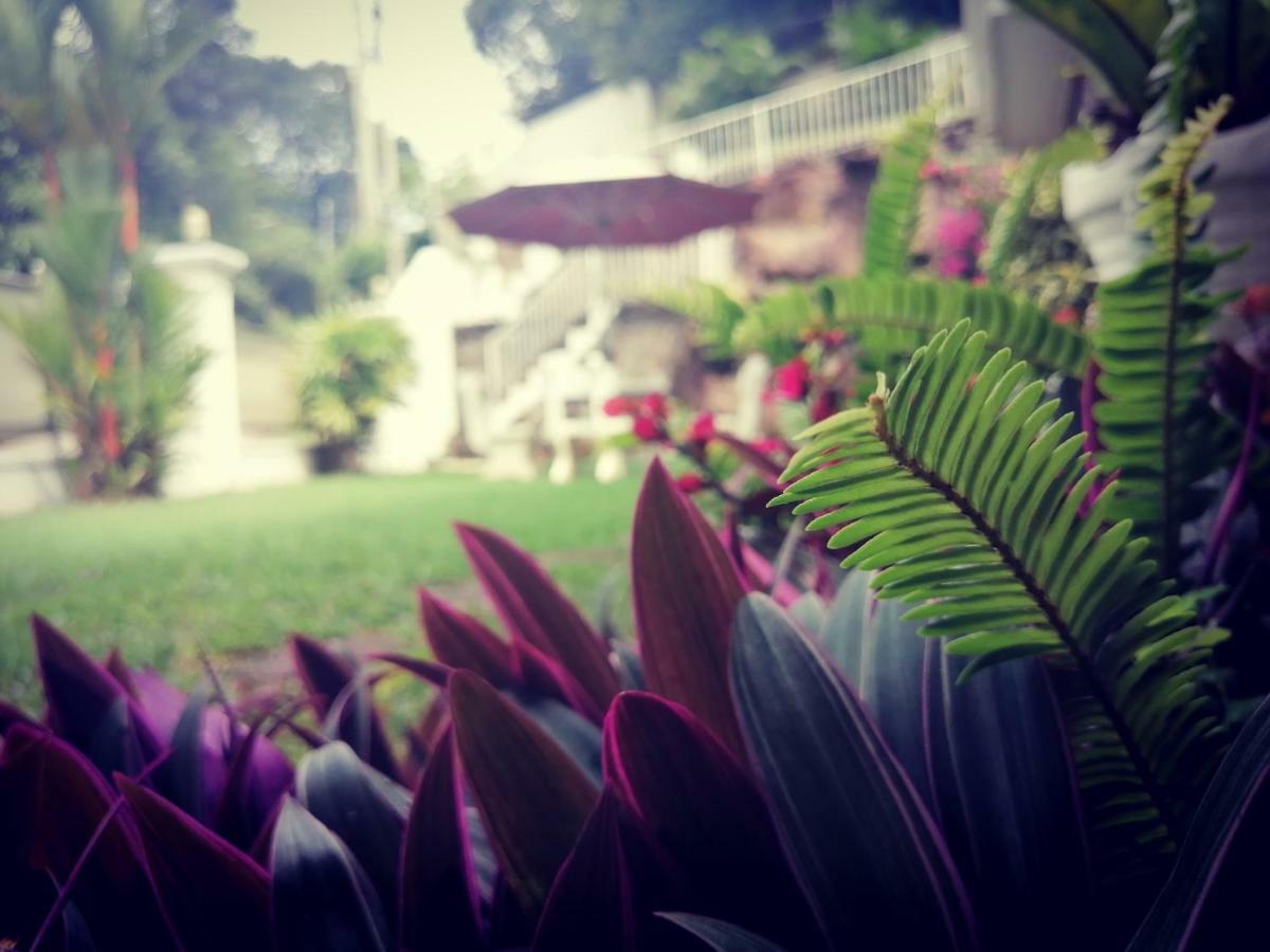 Anna Shanthi Villa แคนดี้ ภายนอก รูปภาพ
