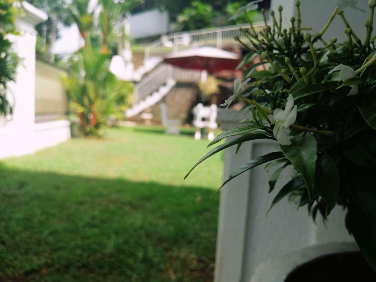 Anna Shanthi Villa แคนดี้ ภายนอก รูปภาพ