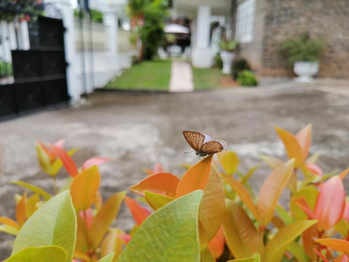 Anna Shanthi Villa แคนดี้ ภายนอก รูปภาพ