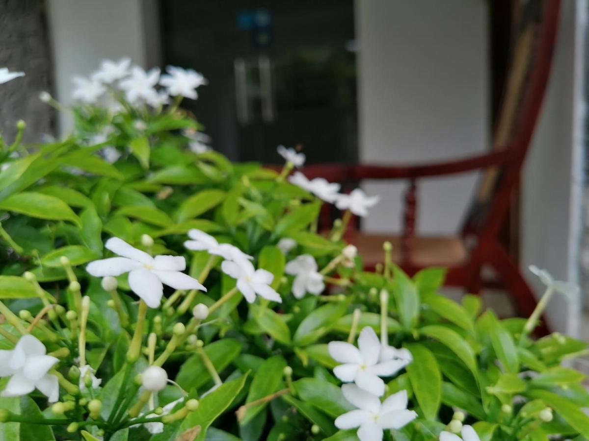 Anna Shanthi Villa แคนดี้ ภายนอก รูปภาพ