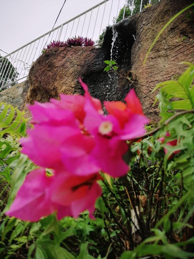 Anna Shanthi Villa แคนดี้ ภายนอก รูปภาพ